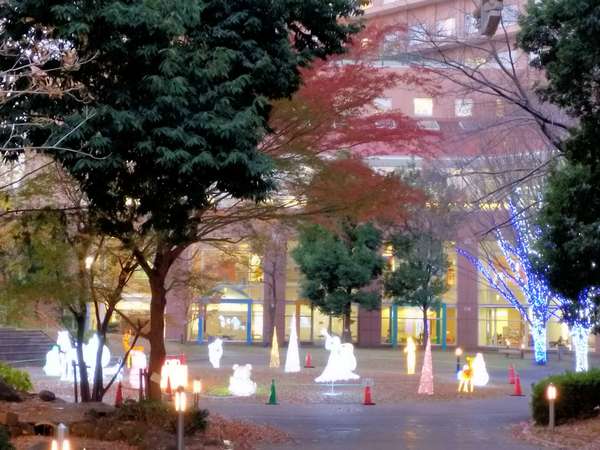 イルミネーションで「次世代を守り、未来をつなぐ」の画像