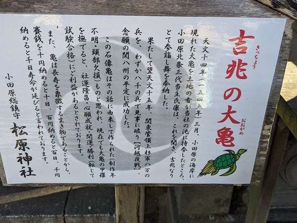 吉兆の大亀の画像