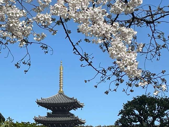 江戸氏の眠る喜多見の慶元寺