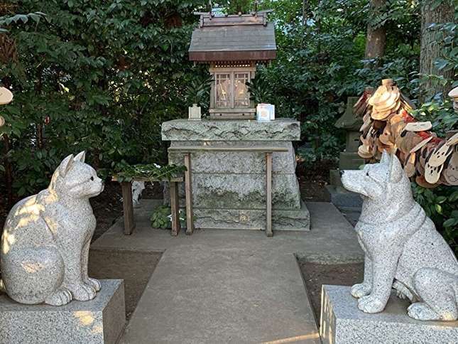 愛犬・愛猫とのお参りが人気、座間神社の伊奴寝子社