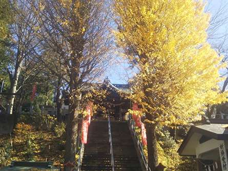 「かわいい」が集まる神社へお参り！