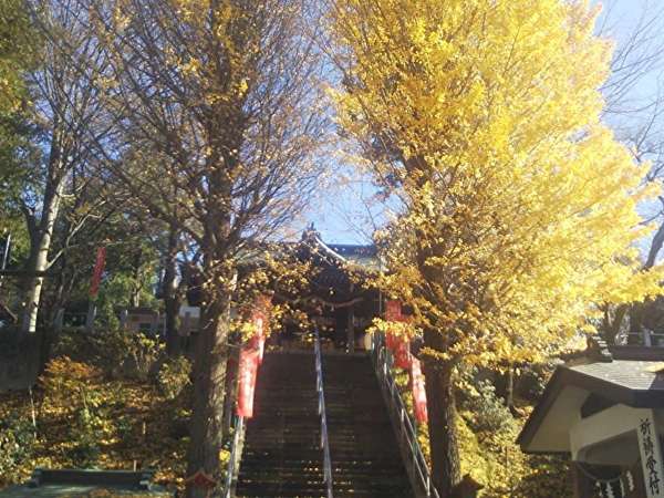 「かわいい」が集まる神社へお参り！の画像