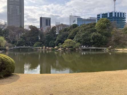 新宿御苑・日本庭園の藤棚や桜の花見で自然を感じる素敵なひと時を