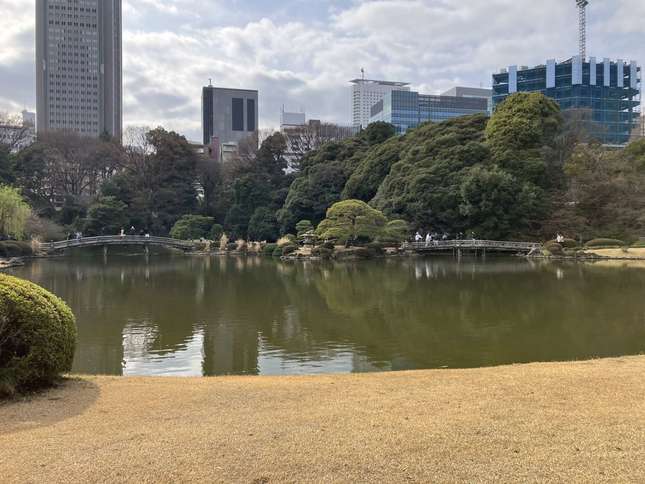 新宿御苑・日本庭園の藤棚や桜の花見で自然を感じる素敵なひと時を