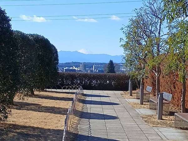 成城コルティ「オリーブの庭」からの画像