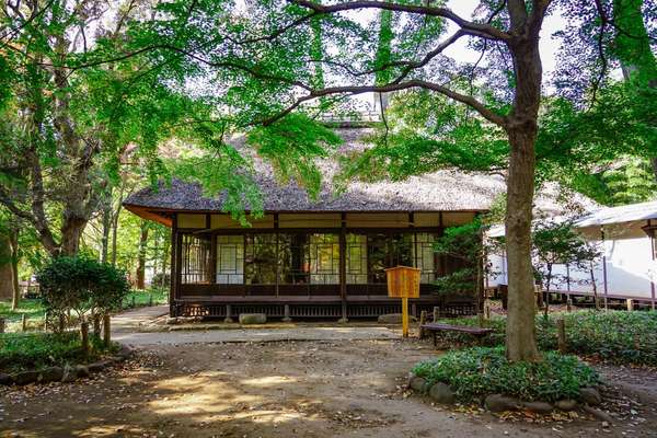 文豪が愛した風景を語り継ぐ「蘆花恒春園」でアジサイを楽しむの画像
