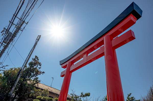 地元民に愛される湘南のお稲荷さんでアジサイを楽しむ「鵠沼伏見稲荷神社」の画像