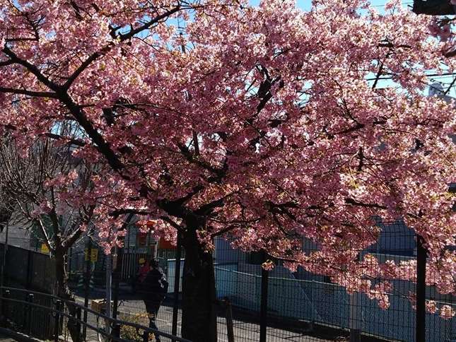 街の小さなオアシス、参宮橋公園