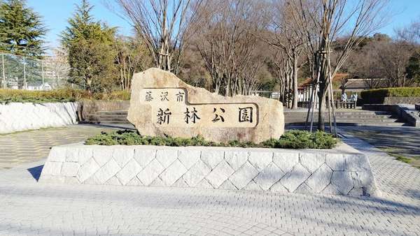 「新林公園」のハナショウブで癒しのひと時を！バードウォッチングにも最適 中心街からすぐの緑の楽園「新林公園」の画像
