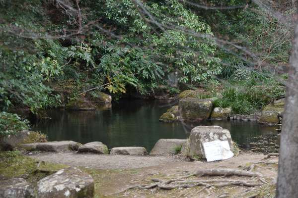 駅から徒歩圏内なのに大自然！ファミリーでも楽しめる「芹ヶ谷公園」の画像