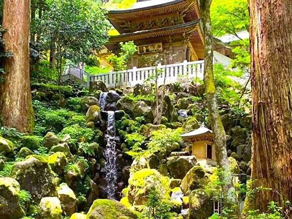 樹齢500年の杉並木が美しい　大雄山最乗寺の画像