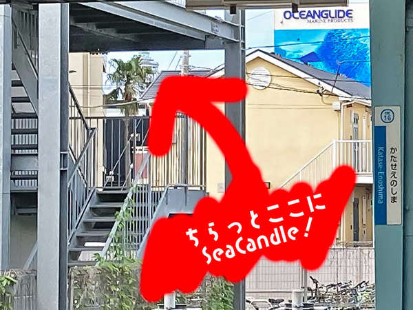 シーキャンドル見える！の画像