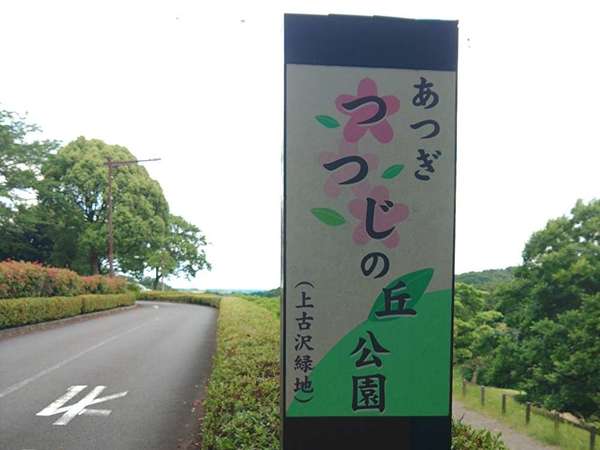 公園でインスタ映えを狙ってみませんか？の画像