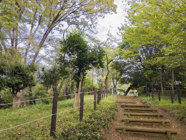 子ども達に大人気！一日遊べる「羽根木公園」を満喫しよう！の画像