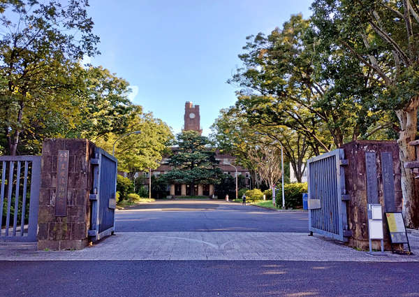 アカデミックな散歩道　東京大学駒沢キャンパス
