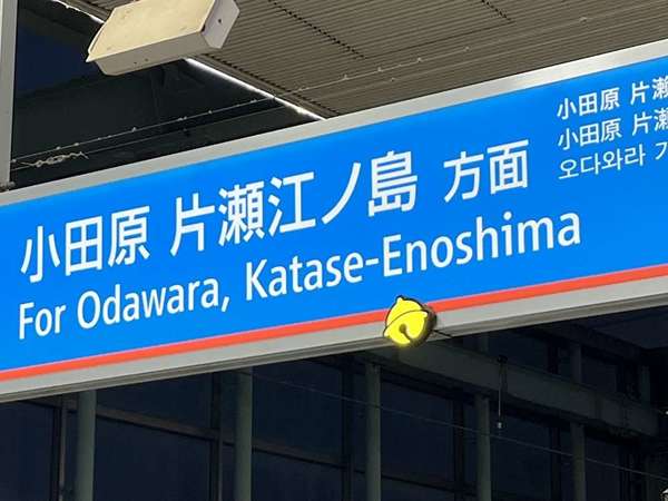 最高に癒される登戸駅の画像