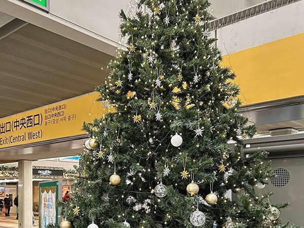 クリスマスツリー、今年も新百合ヶ丘駅にの画像