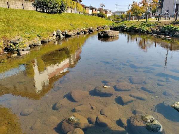 カワセミも訪れる名水スポットの画像
