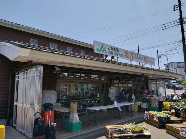 伊勢原の地場野菜や名産品も。「あふり～な伊勢原店」