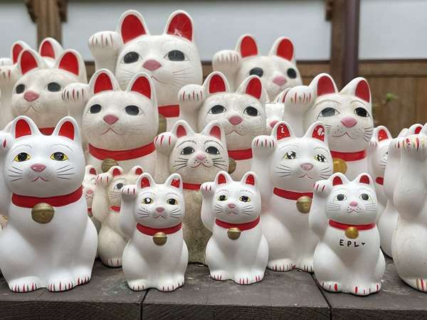 豪徳寺　招き猫
