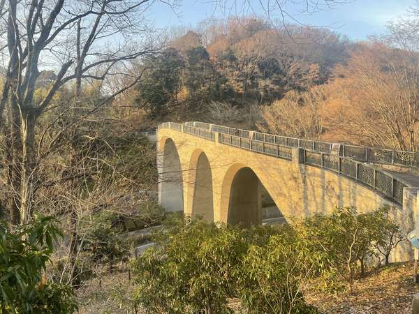 プチ登山気分で散策　七沢森林公園の画像