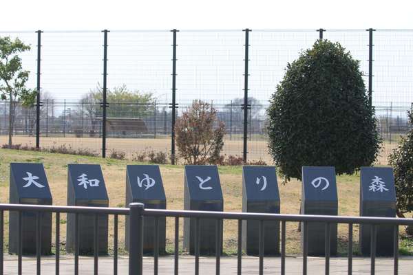 遊具も広場も楽しめる！「大和ゆとりの森」で一日中遊びつくそう！