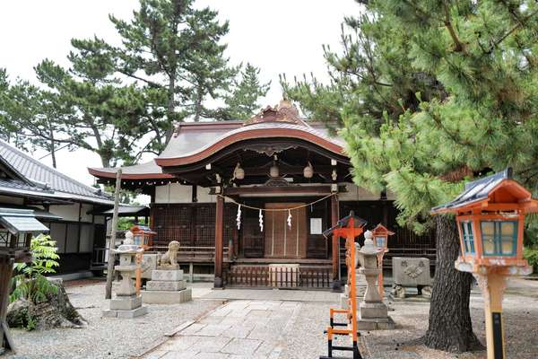 3匹のカエルが幸せを呼ぶ？古くから愛され続ける「高石神社」