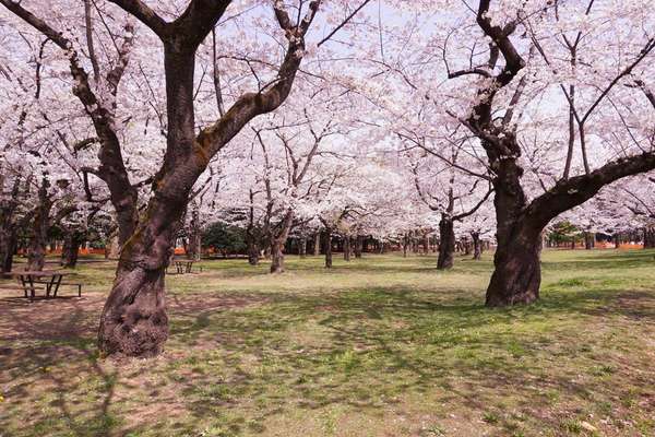 代々木上原のお散歩で立ち寄りたいスポット5選！地元民もイチオシの場所を厳選♪の画像