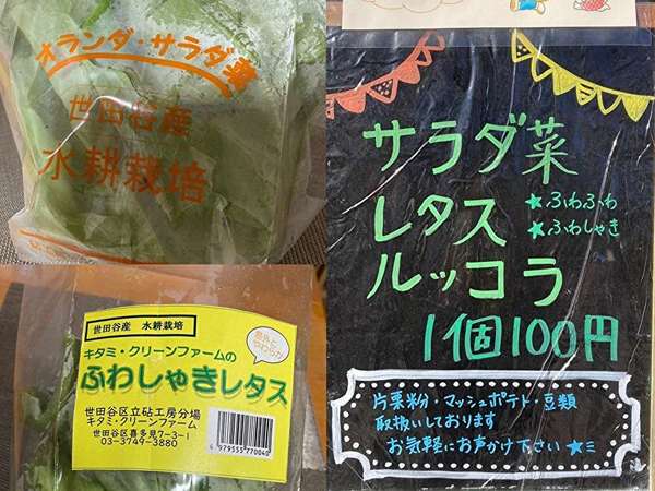 シャキシャキ野菜