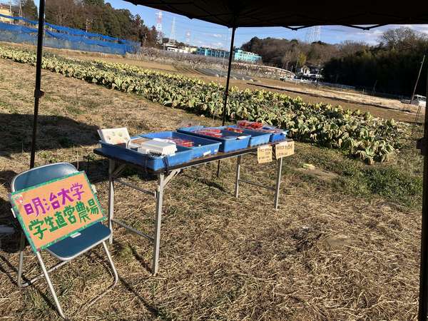 明治大学生農場のいちご