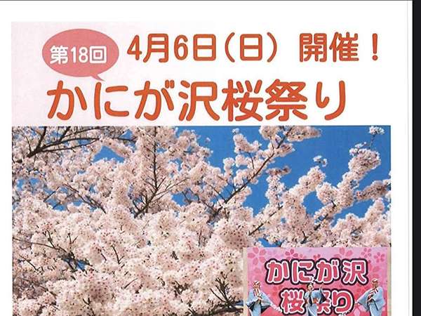 かにが沢桜祭り2025開催決定4月6日日曜日