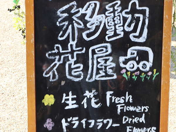 長く飾れるドライフラワーはいかがですか？の画像