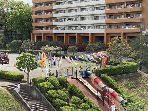 座間市のかにが沢公園に鯉のぼりが掲揚されます