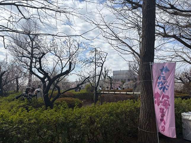 羽根木公園　梅まつりに行ってきました