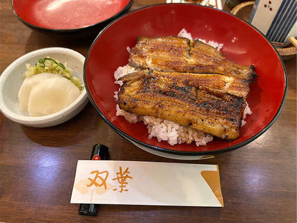 うなぎ以外のメニューも気になる‥の画像