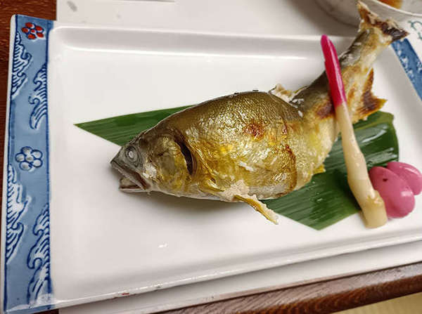 地元に根付いた昔ながらの和風居酒屋 一条