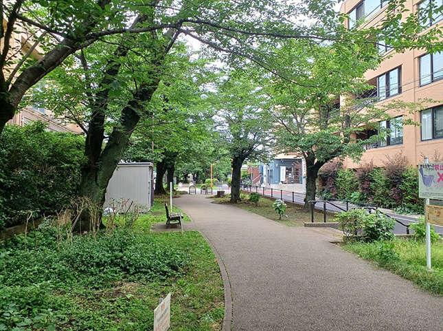 緑あふれる経堂のグリーンウエィ 烏山川緑道