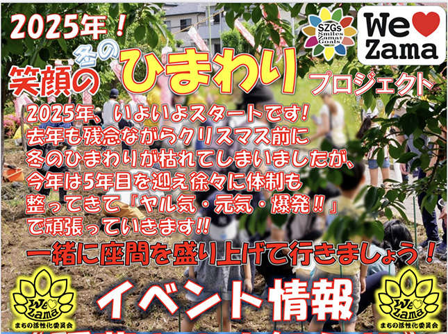 座間の冬のひまわり開催