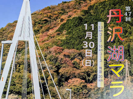 丹沢湖マラソン大会2025