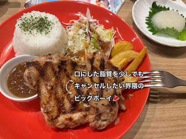 口にした脂質をキャンセルしたい界隈のビッグボーイ