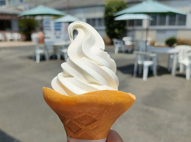 牧場で食べるフレッシュミルクのソフトクリーム
