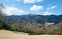 丹沢・大山の山なみ