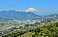 松田町からの富士山