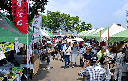 「開成あじさい祭り」