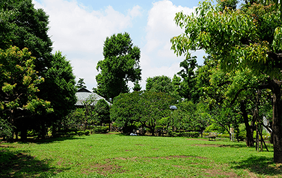 「羽根木公園」