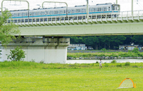 「和泉多摩川」駅周辺の多摩川河川敷