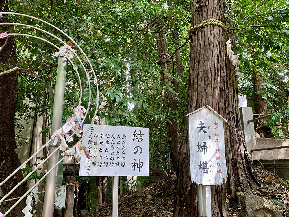 夫婦椹