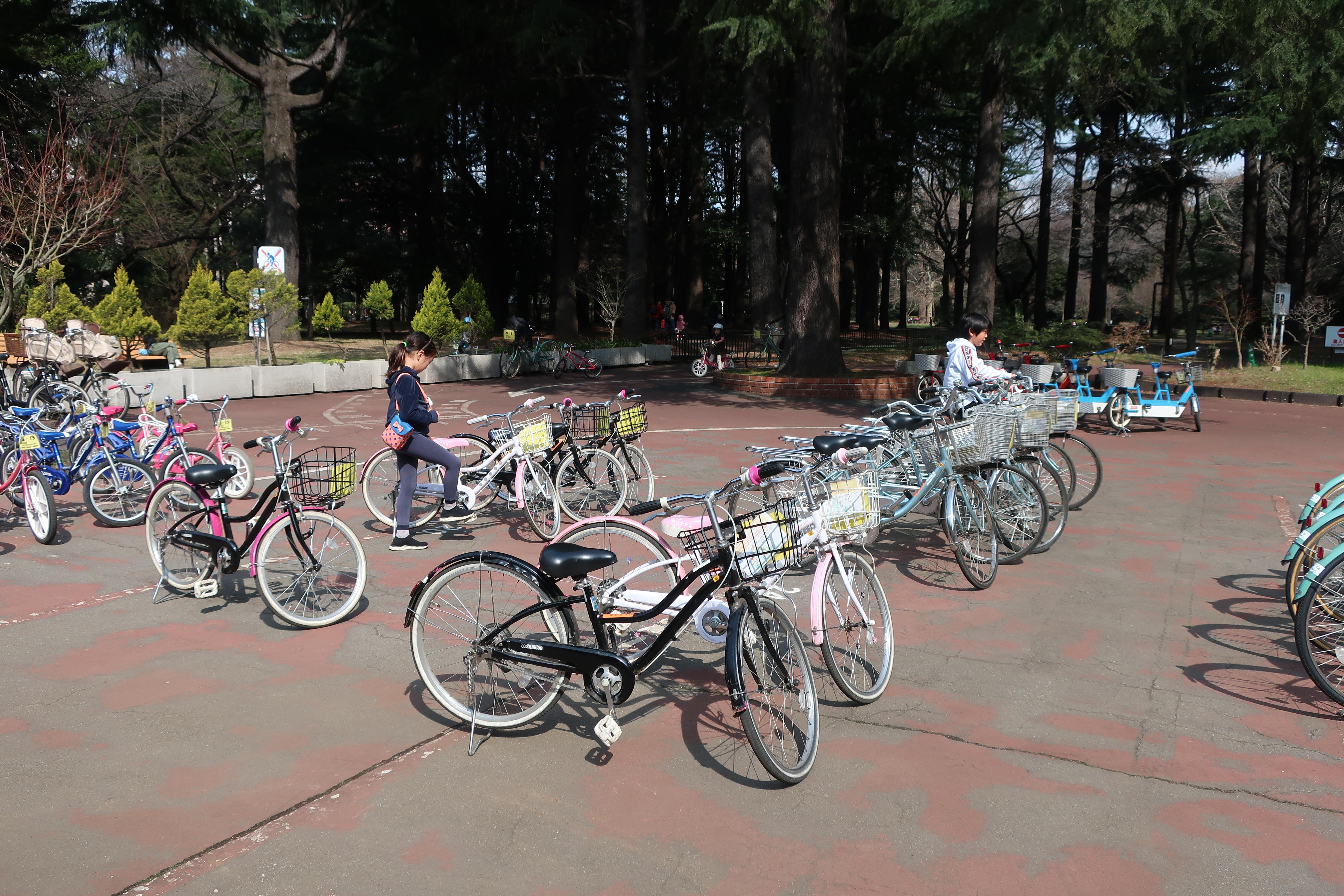 ここ から 自転車 で 行ける 公園