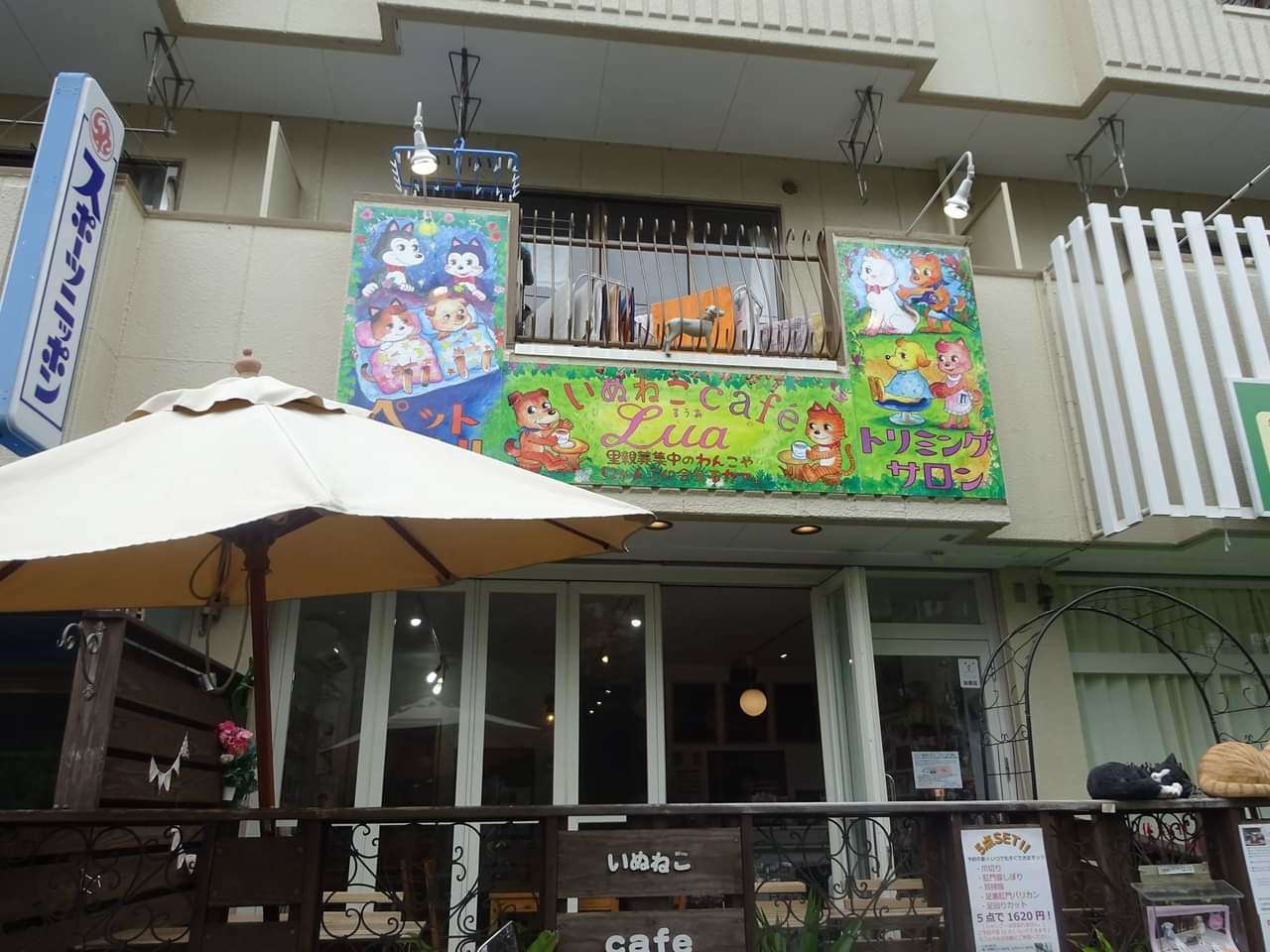 保護猫保護犬とふれあえるカフェ 小田急のくらし 小田急不動産株式会社