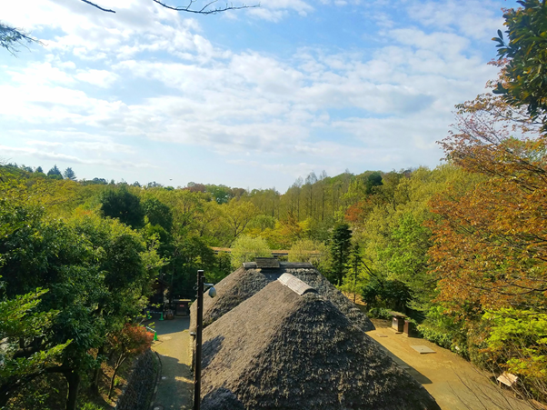 貴重な古民家がある野外博物館 川崎市立日本民家園 の見どころをご紹介 小田急のくらし 小田急不動産株式会社 貴重な古民家がある野外博物館 川崎市立日本民家園 の見どころをご紹介 小田急のくらし 小田急不動産株式会社